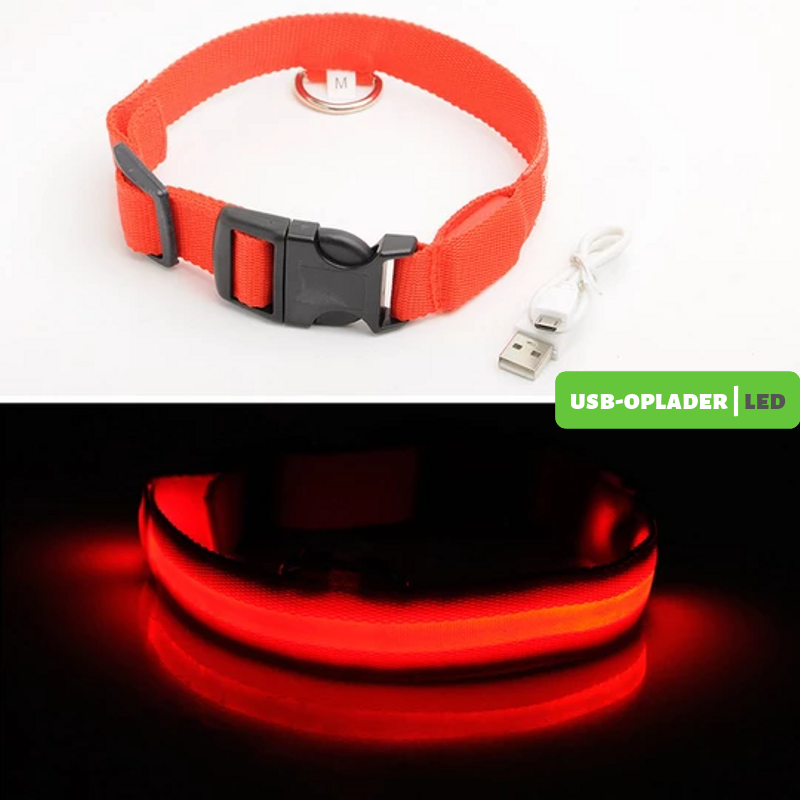 Dewel® Oplaadbare LED-band | Lichtgevende halsband