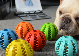 Joa® Elastic | Hondenspeeltjes | Speeltjes voor honden