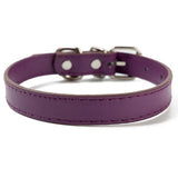Joa® Harness | Hondenhalsband | Halsband hond