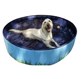 Dewel® Pool | Hondenzwembad