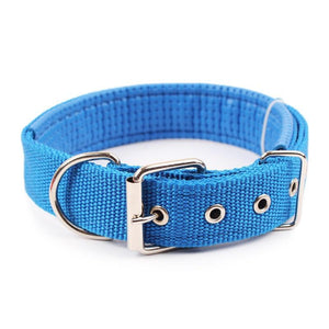 Joa® Solid | Hondenhalsband | Halsband hond