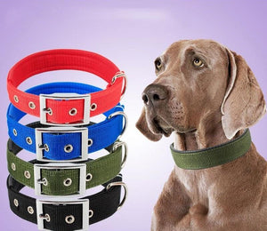 Joa® Solid | Hondenhalsband | Halsband hond