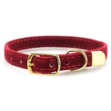 Joa® Collar | Halsband voor kleine honden | Luxe hondenhalsband