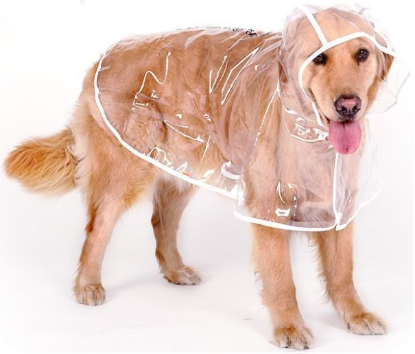 Joa® Rainy | Hondenregenjas | Regenjas voor honden | Jas voor honden