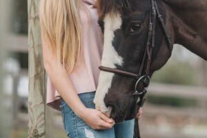 Paard
